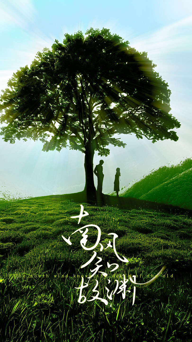 南风知故渊(80集)