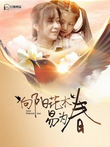向阳花木易为春(101集)