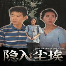 隐入尘埃(30集)