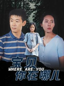 宝贝你在哪儿(30集)