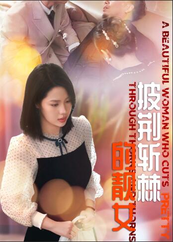 披荆斩棘的靓女(29集)