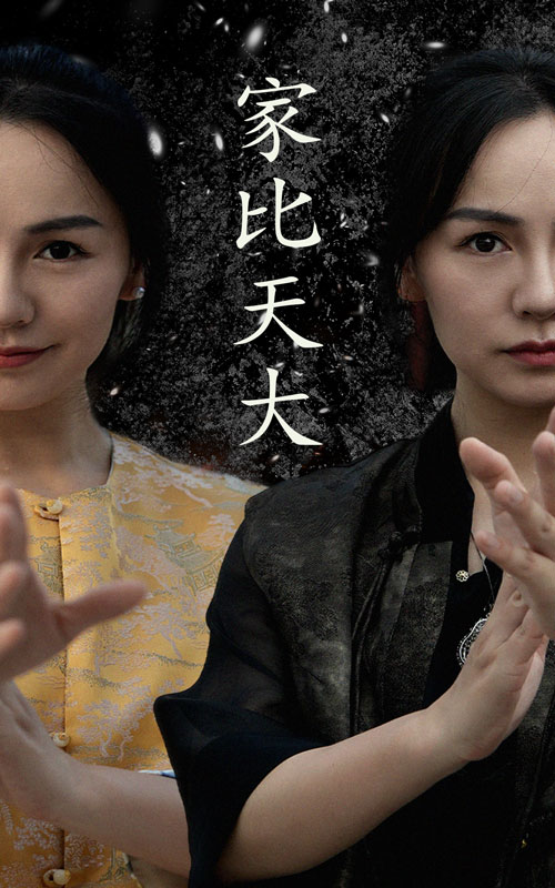 免费短剧 :家比天大(63集)