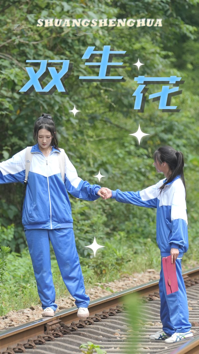 双生花(36集)