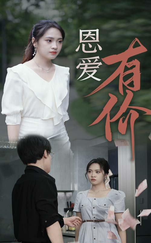 恩爱有价(31集)