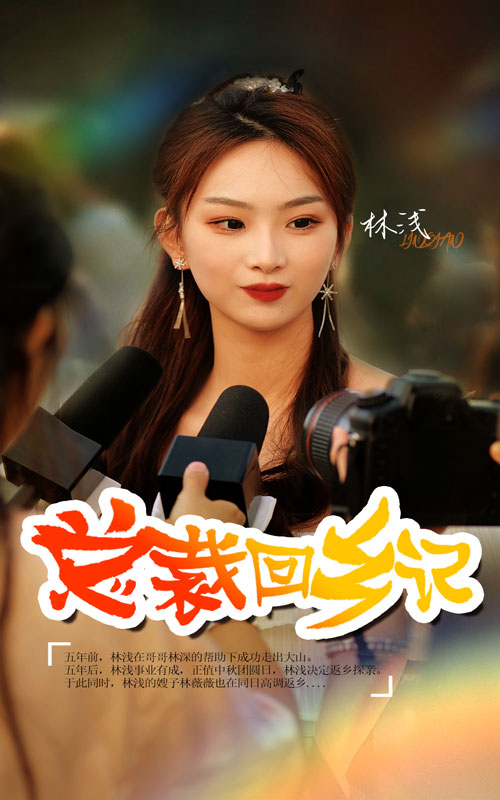 总裁回乡记(67集)