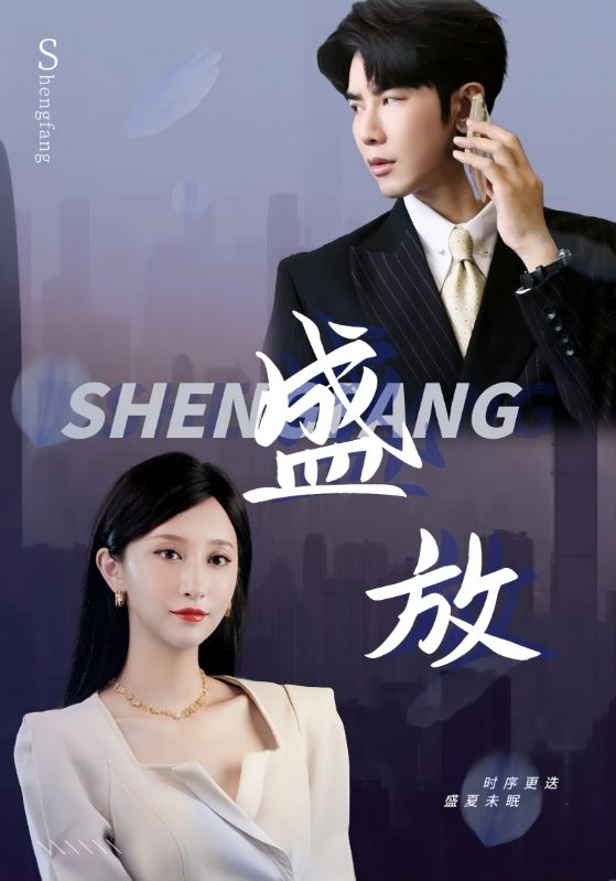 盛放(71集)
