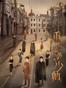 重生逆袭当少帅(90集)刘夕语
