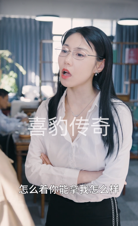 小龙的飞驰人生(88集)