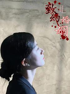 致幻婚姻(100集)