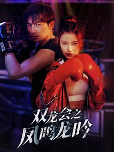 双龙会之凤鸣龙吟(80集)