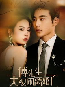 傅先生夫人又闹离婚了（80集）李艺璇
