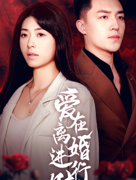 爱在离婚进行时(61集)