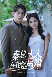 秦总,夫人在找你离婚(79集)马倩倩