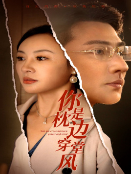 你是枕边穿堂风(78集)