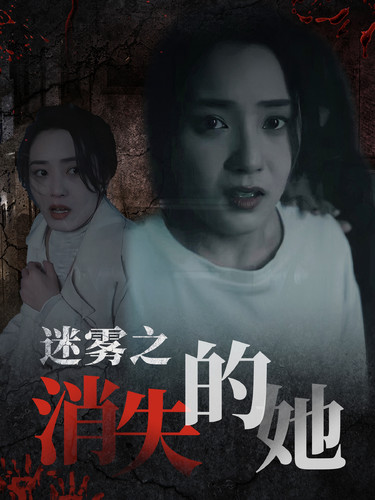迷雾之消失的她(73集)