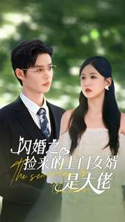 闪婚之捡来的上门女婿是大佬(79集)