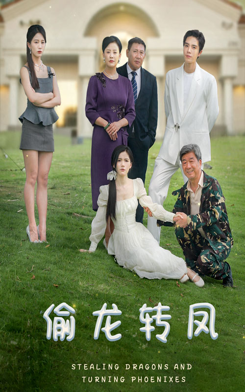 偷龙转凤(80集)