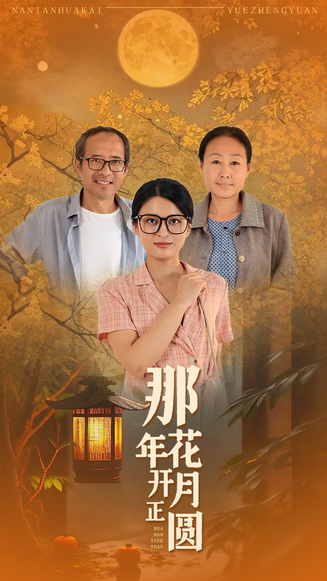 那年花开月正圆(29集)