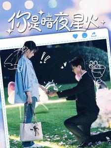 你是暗夜星火(120集)