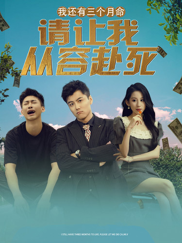 我还有三个月命,请让我从容赴死(90集)