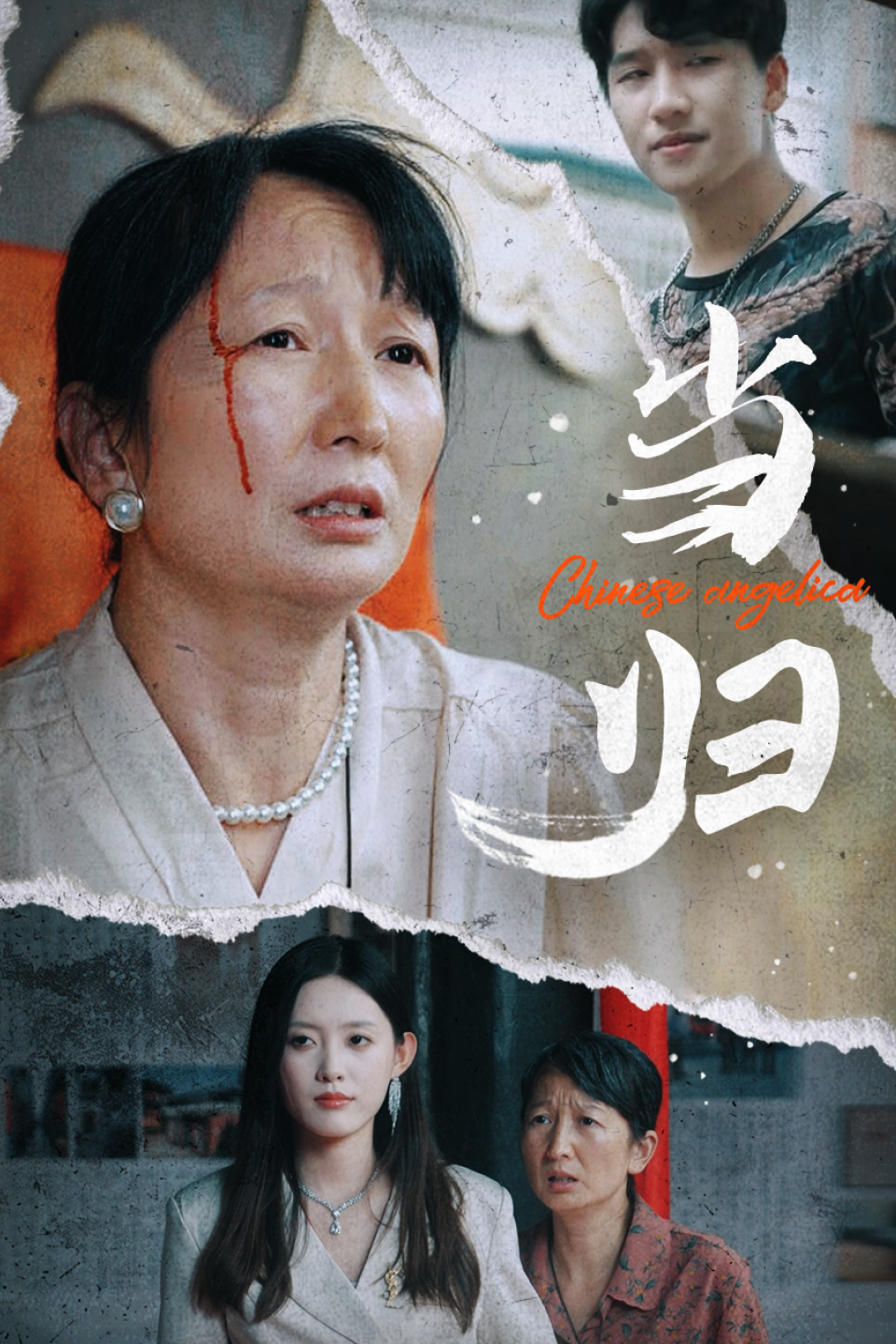 免费短剧:当归(50集)