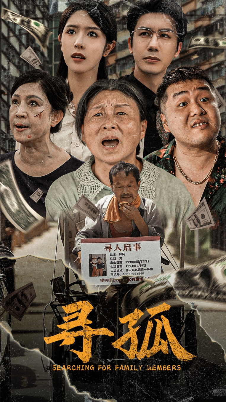 寻孤(78集)