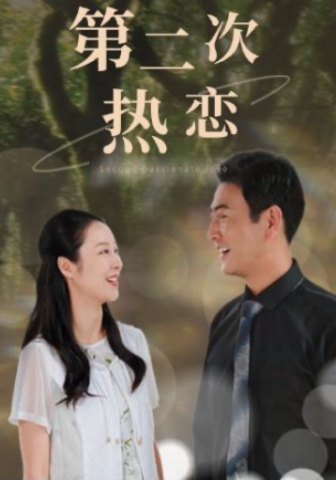 第二次热恋(48集)