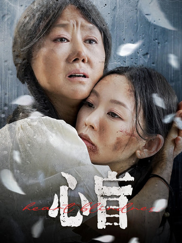 心盲(100集)