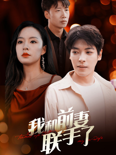 我和前妻联手了(40集)