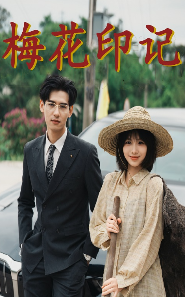 梅花印记(48集)