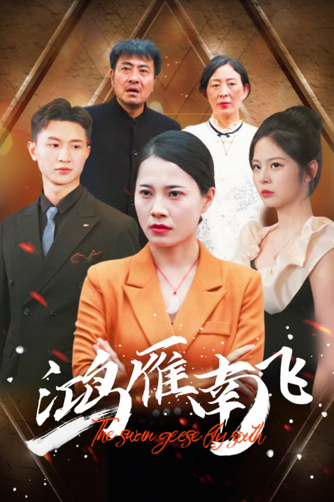 鸿雁南飞(64集)