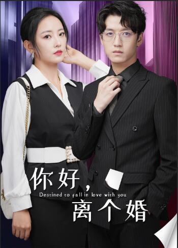 你好,离个婚(30集)