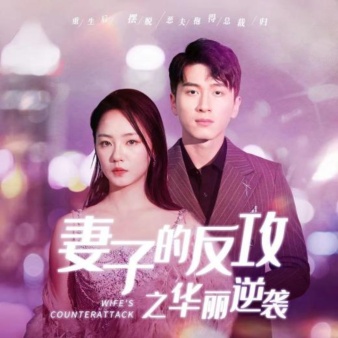 妻子的反攻之华丽逆袭(30集)
