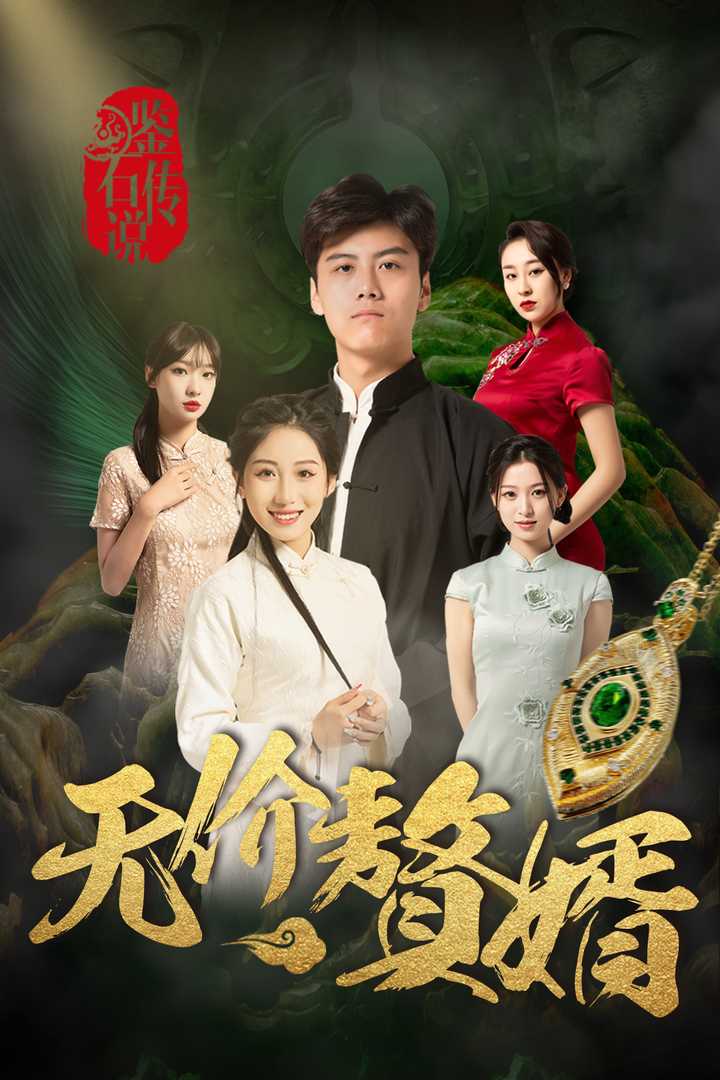 鉴宝传说之无价赘婿(100集)丁磊 侯雨彤