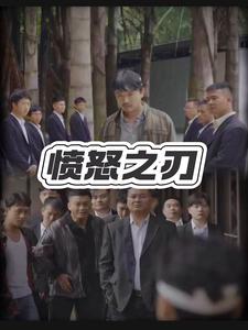愤怒之刃(35集)