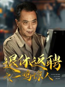 退休返聘之一鸣惊人(65集)