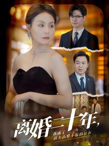 离婚二十年,我成了前夫高攀不起的存在(86集)