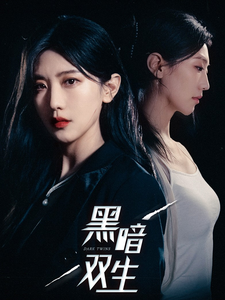 黑暗双生(30集)