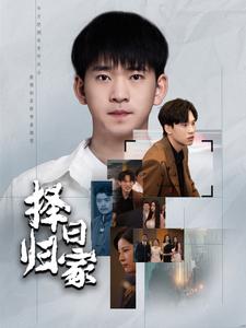 择日归家(60集)