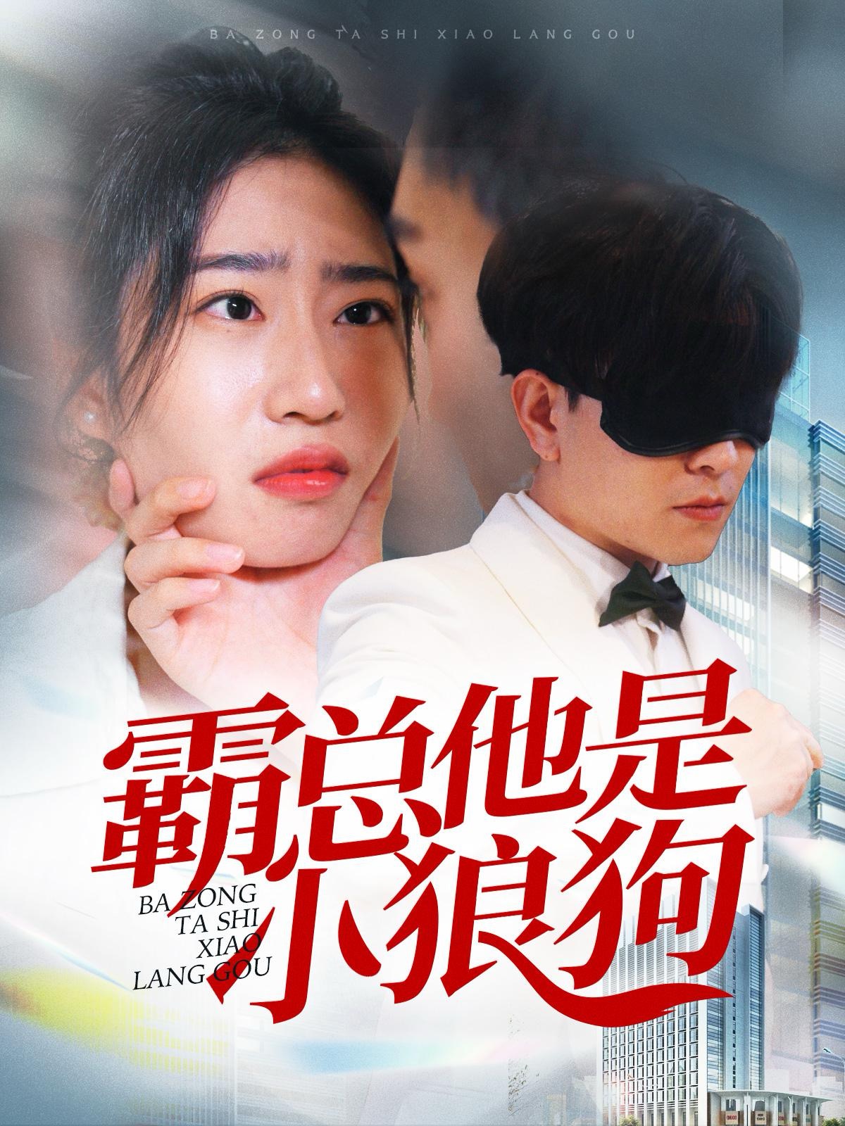 霸总他是小狼狗(31集)