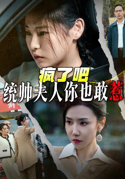 疯了吧统帅夫人你也敢惹(33集)