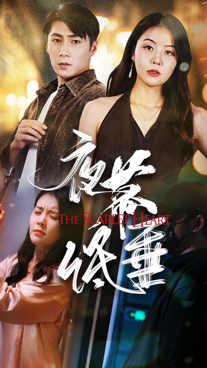 夜幕低垂(37集)