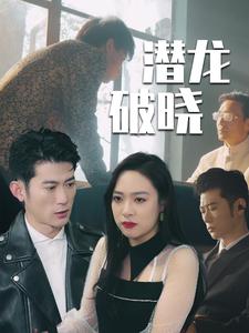 潜龙破晓(88集)