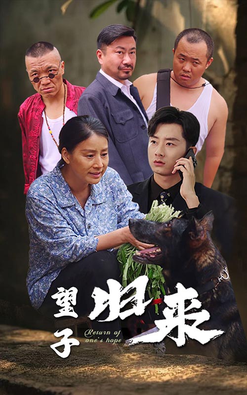 望子归来(50集)