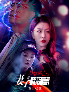万箭穿心之妻子的谎言(30集)