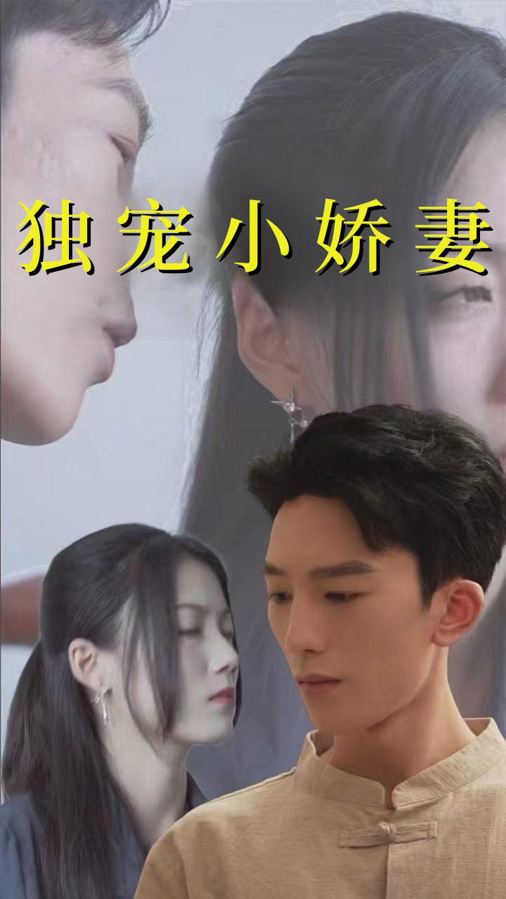 独宠小娇妻(101集)