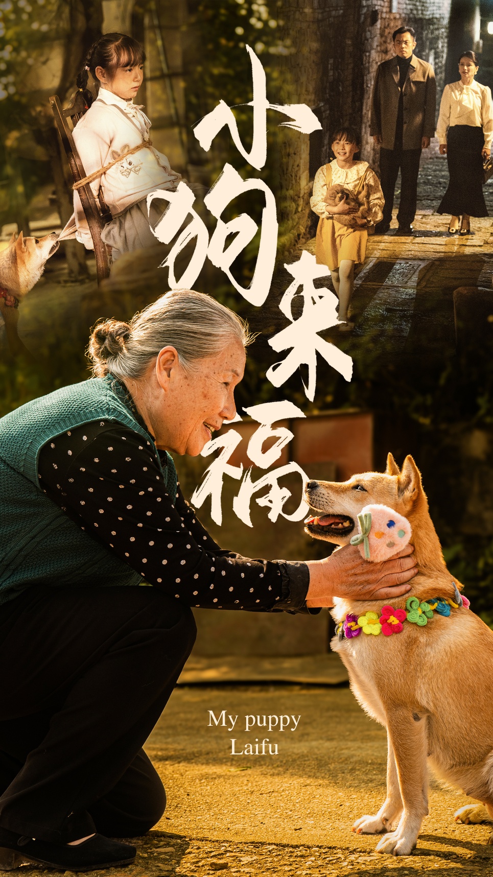 小狗来福(30集)