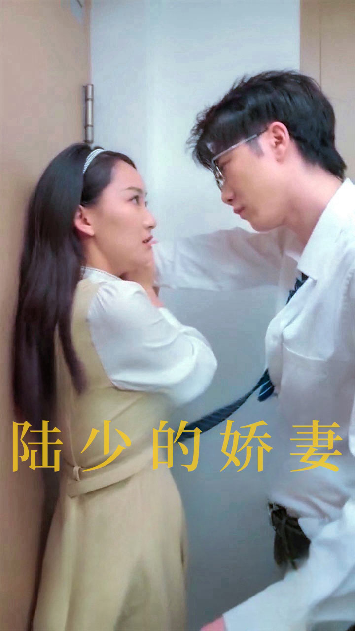 陆少的娇妻(100集)