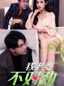 我老婆不对劲(34集)林琦婷