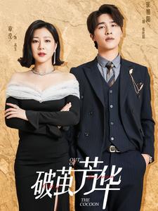 破茧芳华(80集)
